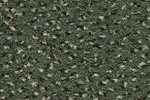 Ковролин Balsan Zenith Roll 250 фото  | FLOORDEALER